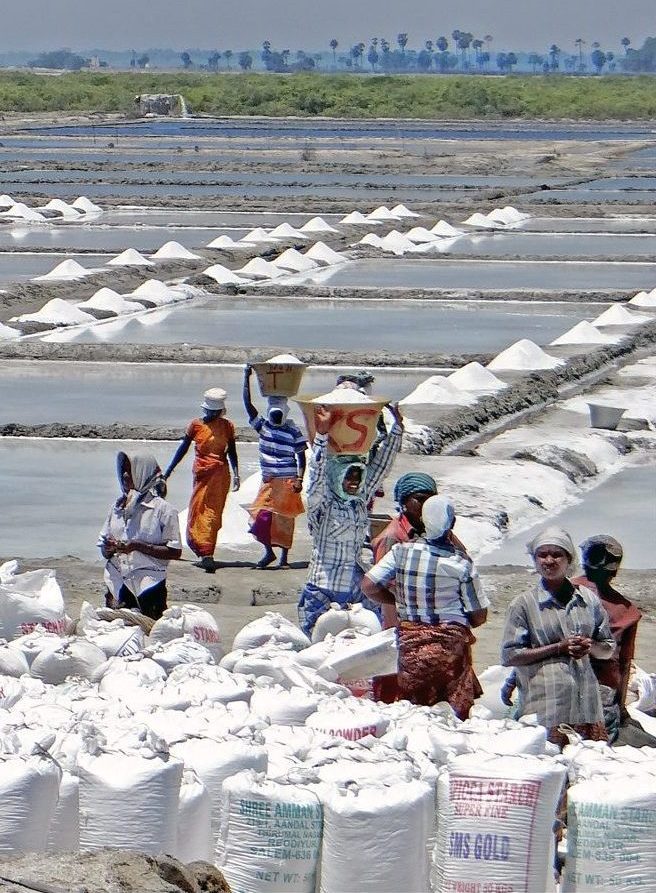 1_Salt_evaporation_ponds_Tamil_Nadu_India_Salines_de_Marakkanam_Inde 1_Salt_evaporation_ponds_Tamil_Nadu_India_Salines_de_Marakkanam_Inde